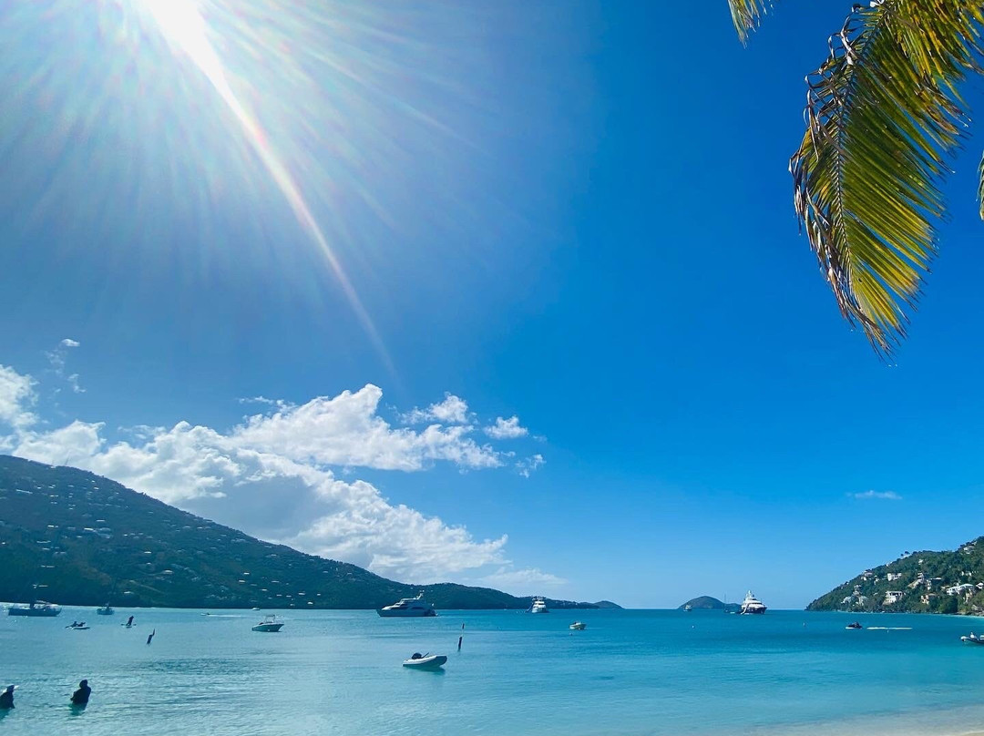 Barefoot Boating-圣彼德斯堡必去景点