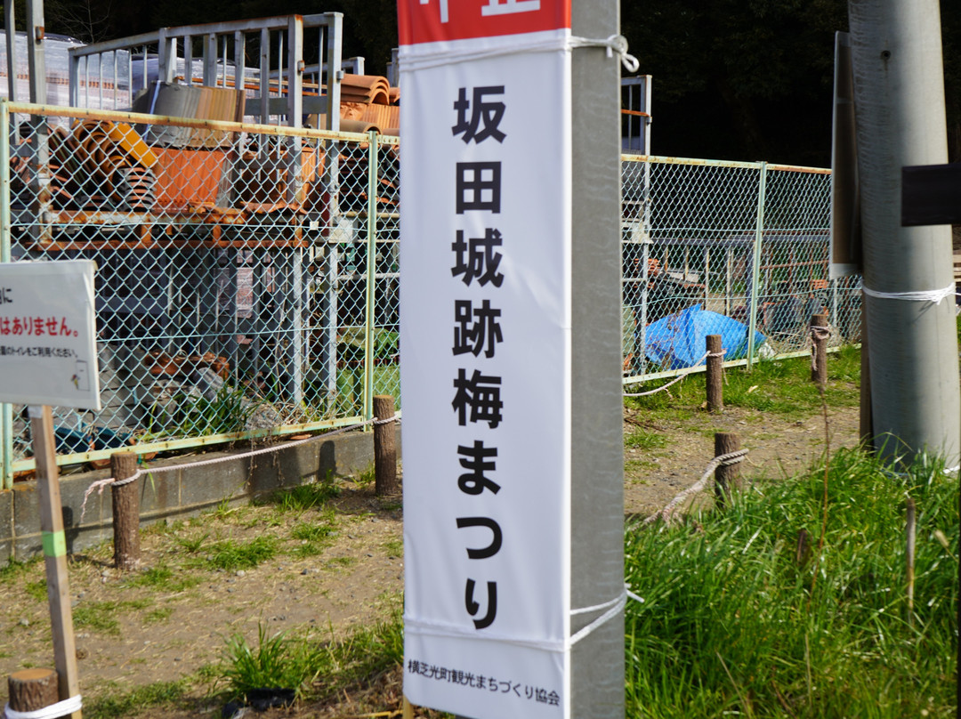 Sakata Castle Ruin-横芝光町必去景点