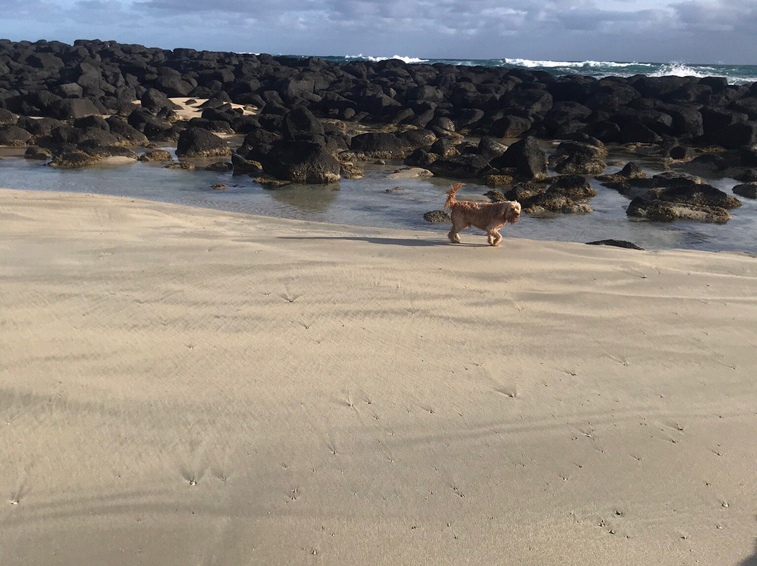 Hearn's Beachside Villas主图