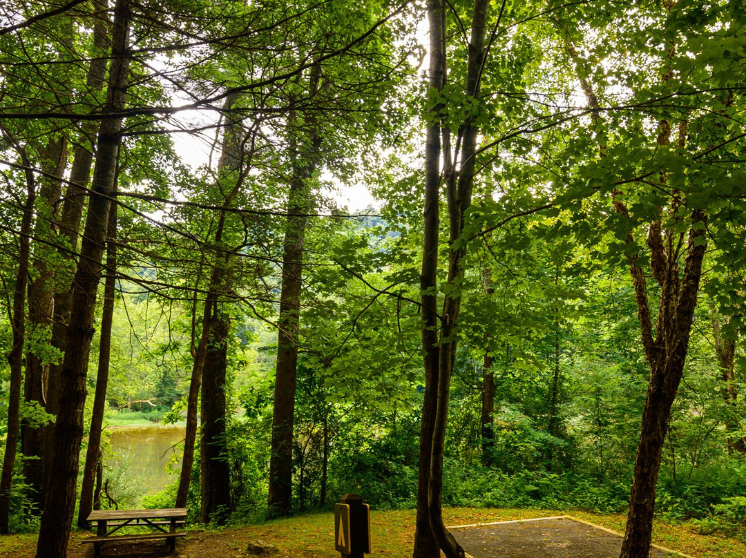 Greenbrier River Trail-西维吉尼亚必去景点
