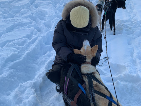 White Trail Adventures-基律纳必去景点