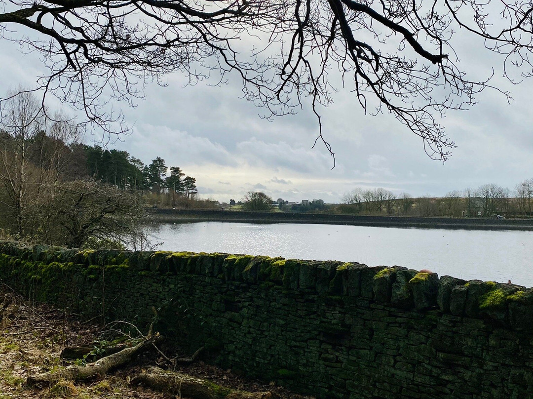 Ogden Water Country Park & Nature Reserve景点图片