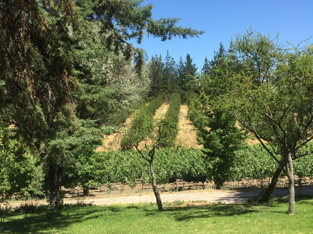 LA VIÑA DEL SEÑOR-Melipilla必去景点