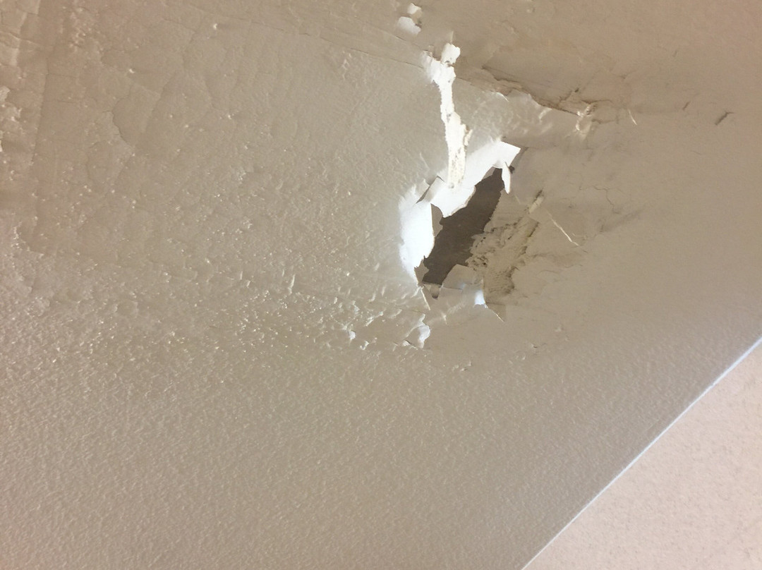 Hampton Inn & Suites Florence-North-I-95主图