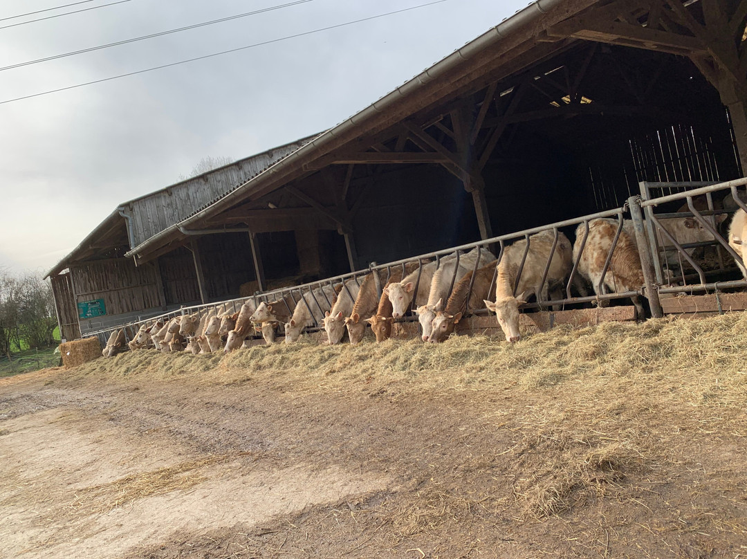 Ferme Pédagogique du Lieu Roussel景点图片