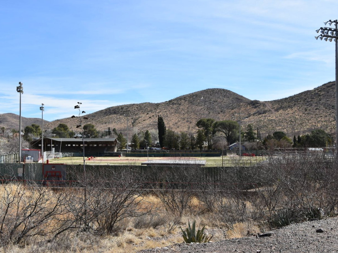 Lavender Jeep Tours - Private Tours-比斯比必去景点