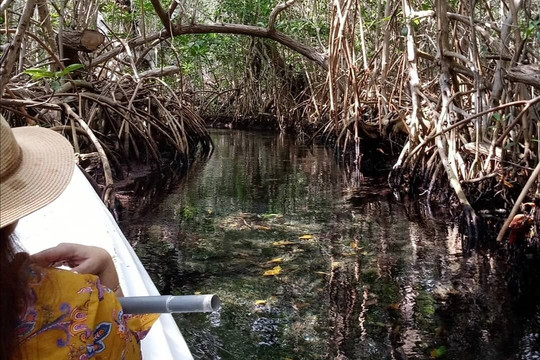 Maya tour Mid-梅里达必去景点