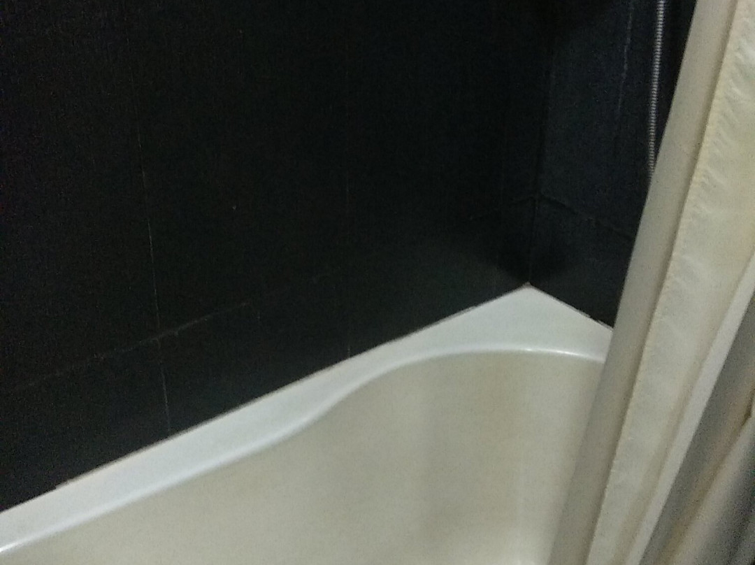 达卡酒店萨日娜主图