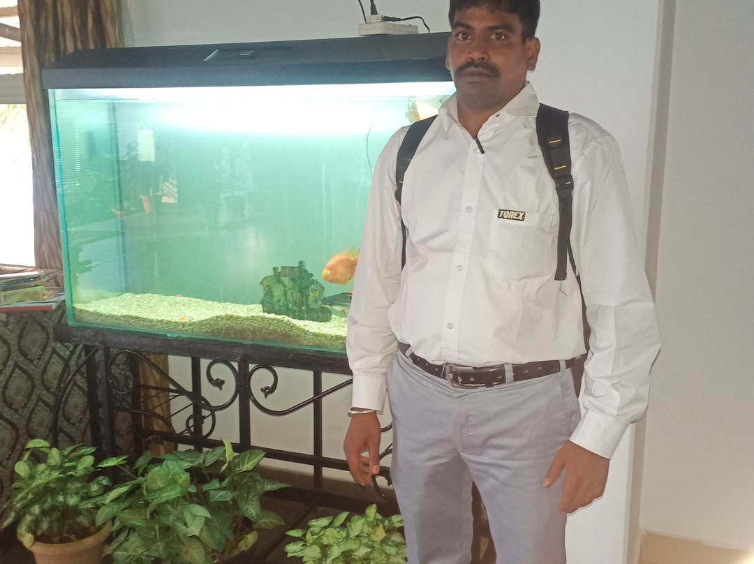 Hotel Grand Bee主图