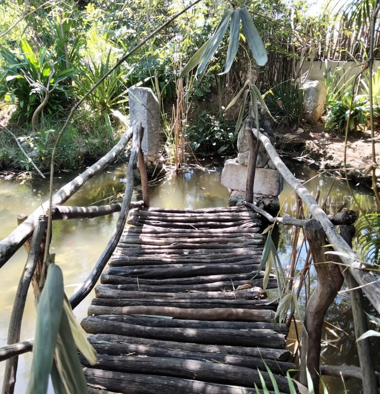 Tour Experiencias Ancestrales Tío Charlie-梅里达必去景点