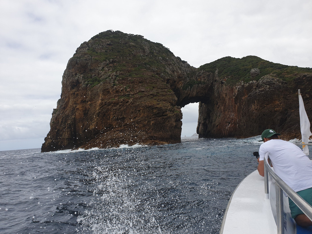 Perfect Day Ocean Cruise景点图片