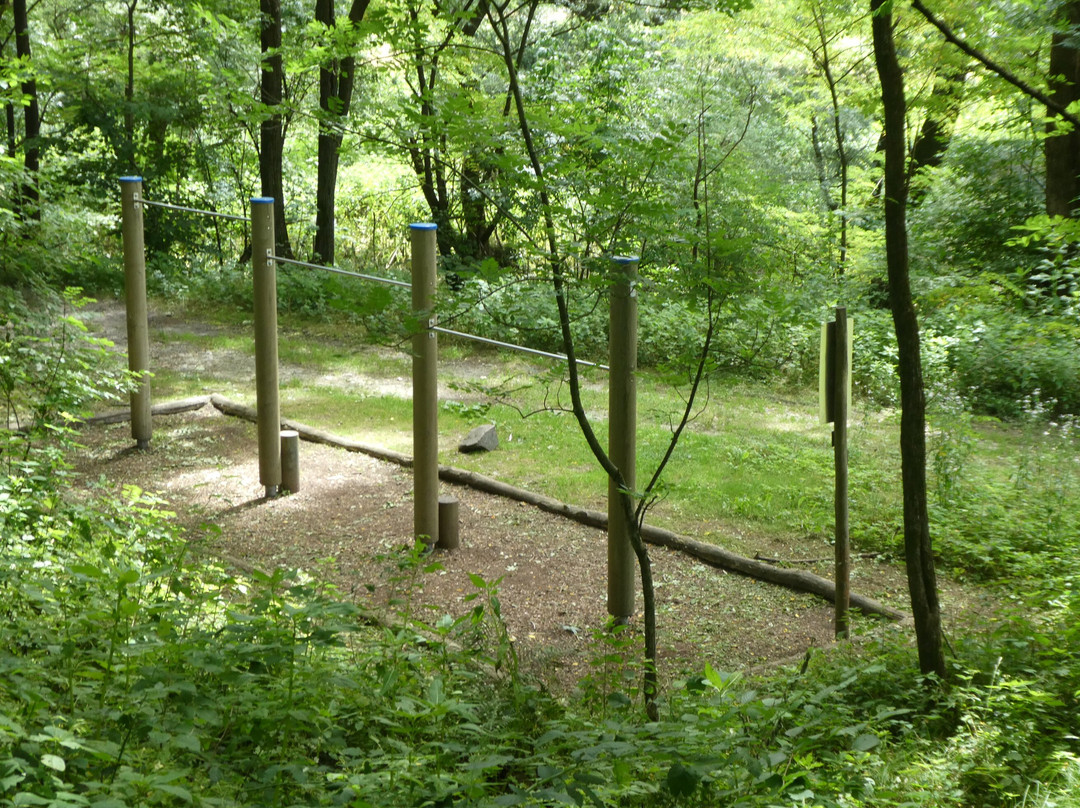 Naturreservat Bolle die Magadino景点图片