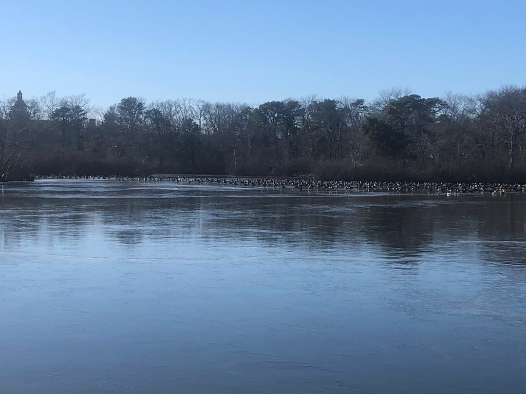 Belmont Lake State Park-North Babylon必去景点