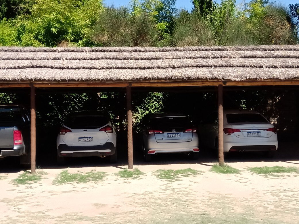 Suter Petit Hotel主图