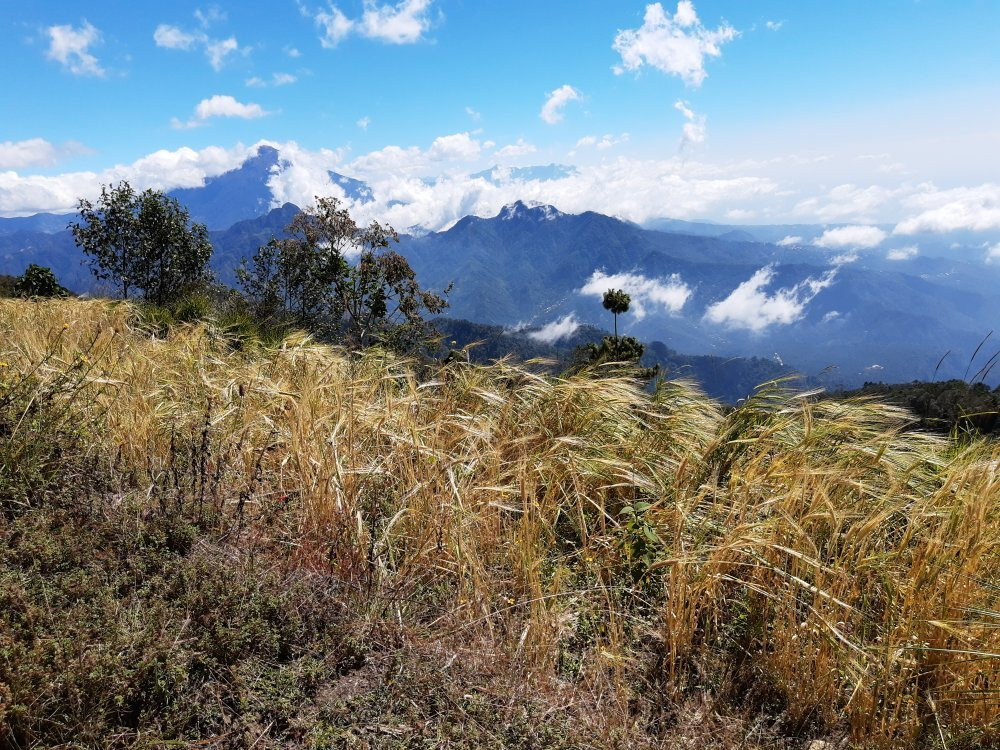 Posada Margaritas主图