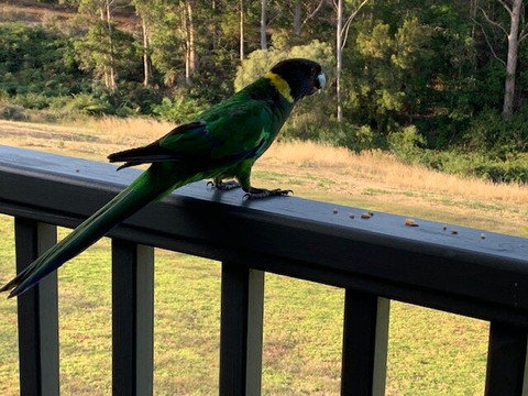 Rainbow Trail Chalets主图