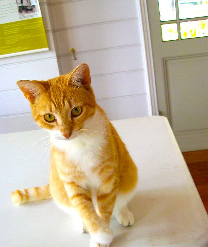 La Maison Celieres-努美阿必去景点