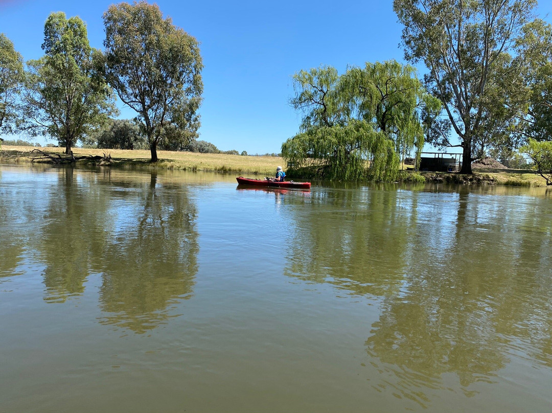 Murray River Canoe Hire景点图片