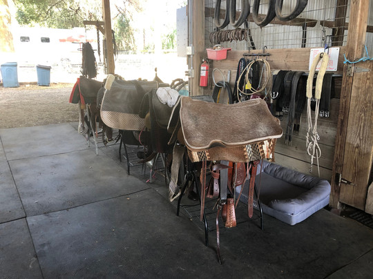 Diamond Oaks Farm-奥卡拉必去景点