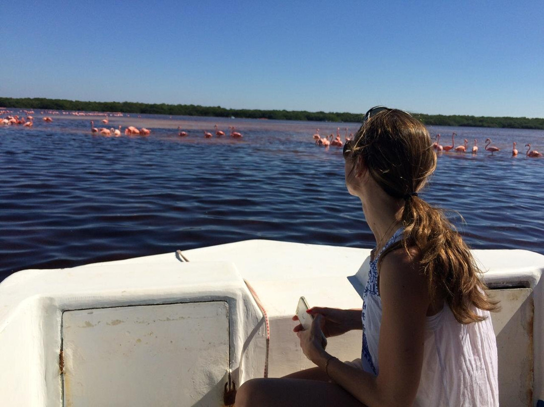 Sheartail Expeditions-塞莱斯顿必去景点