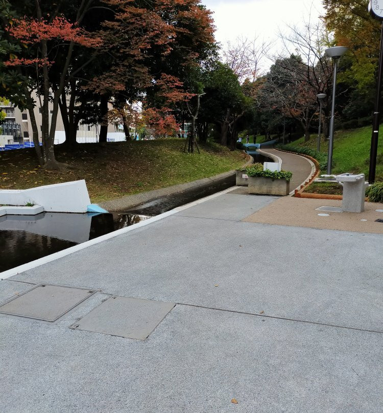 Shin Nagashima River Shinsui Park-江戸川区必去景点