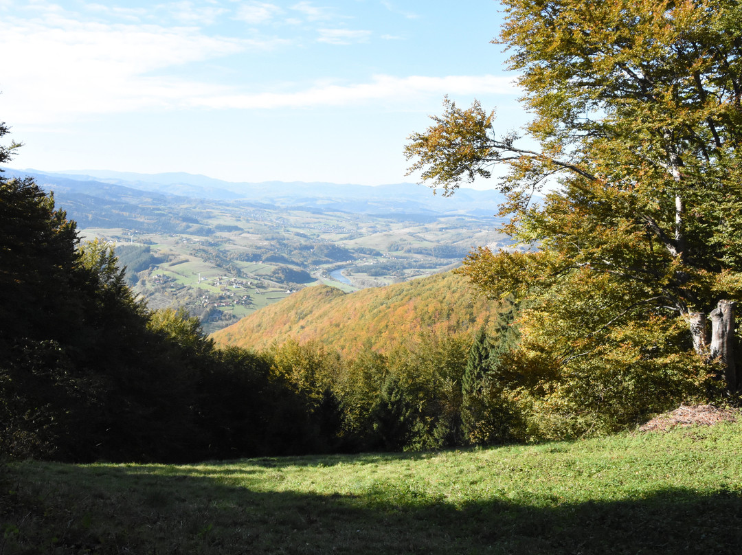 Wola Krogulecka旅游攻略图片