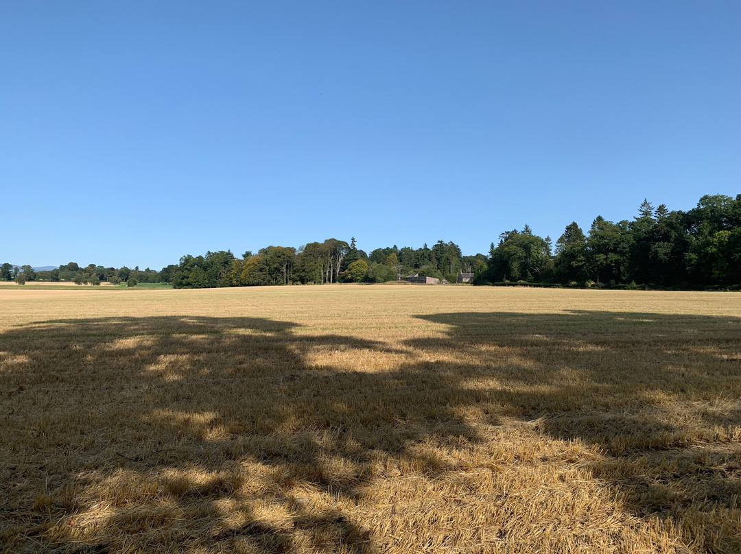 Kettins Walks And Cycle Trails景点图片