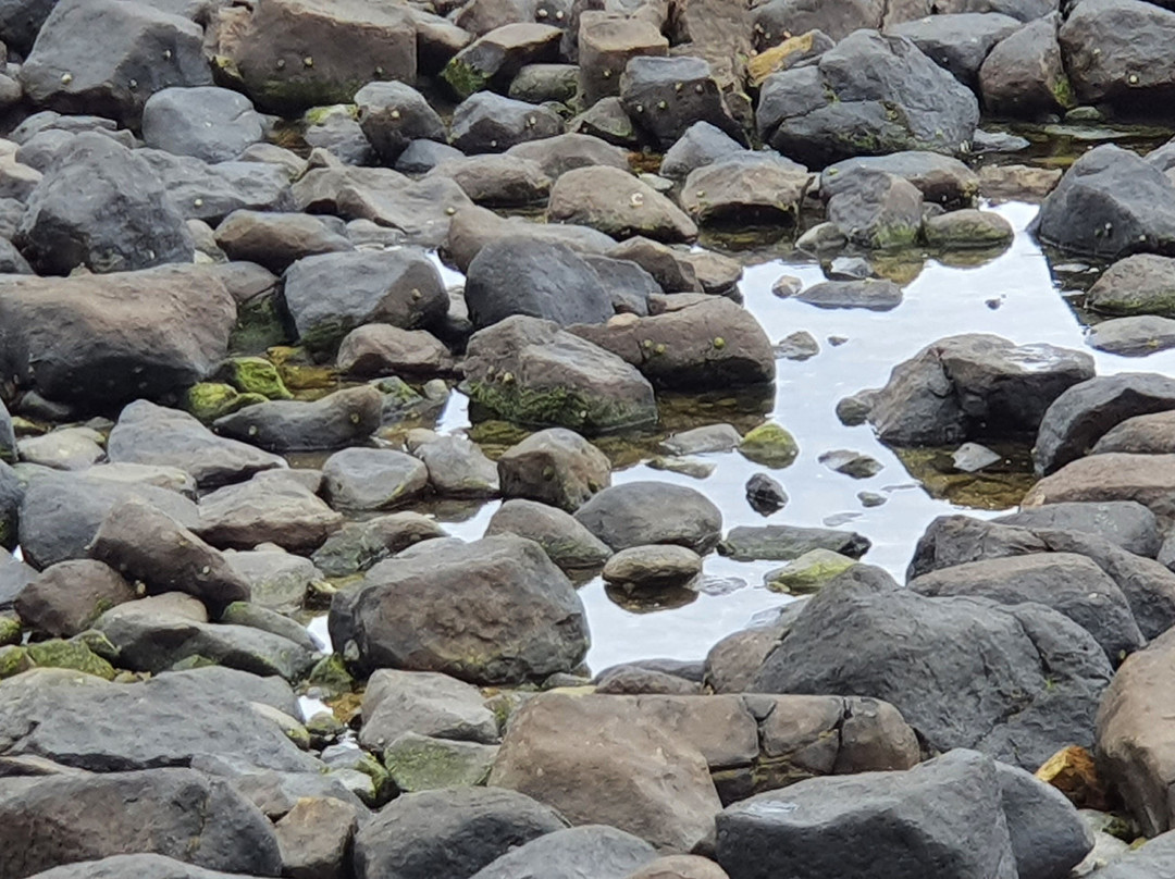 Burleigh Heads Rock Pools-伯利角必去景点