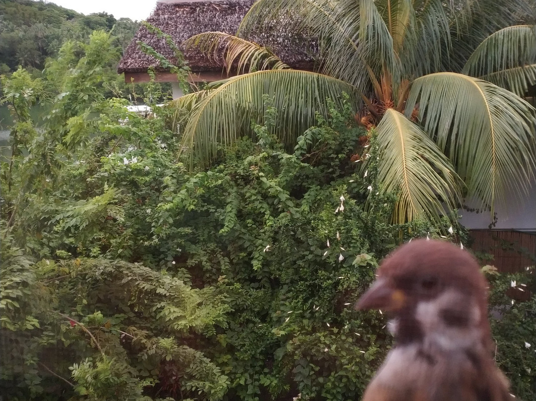 埃奇沃特潜水及水疗度假村主图