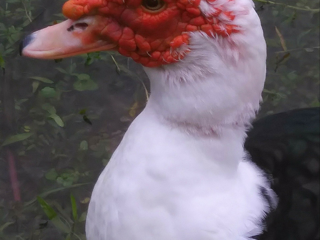 热带公园-迈阿密必去景点