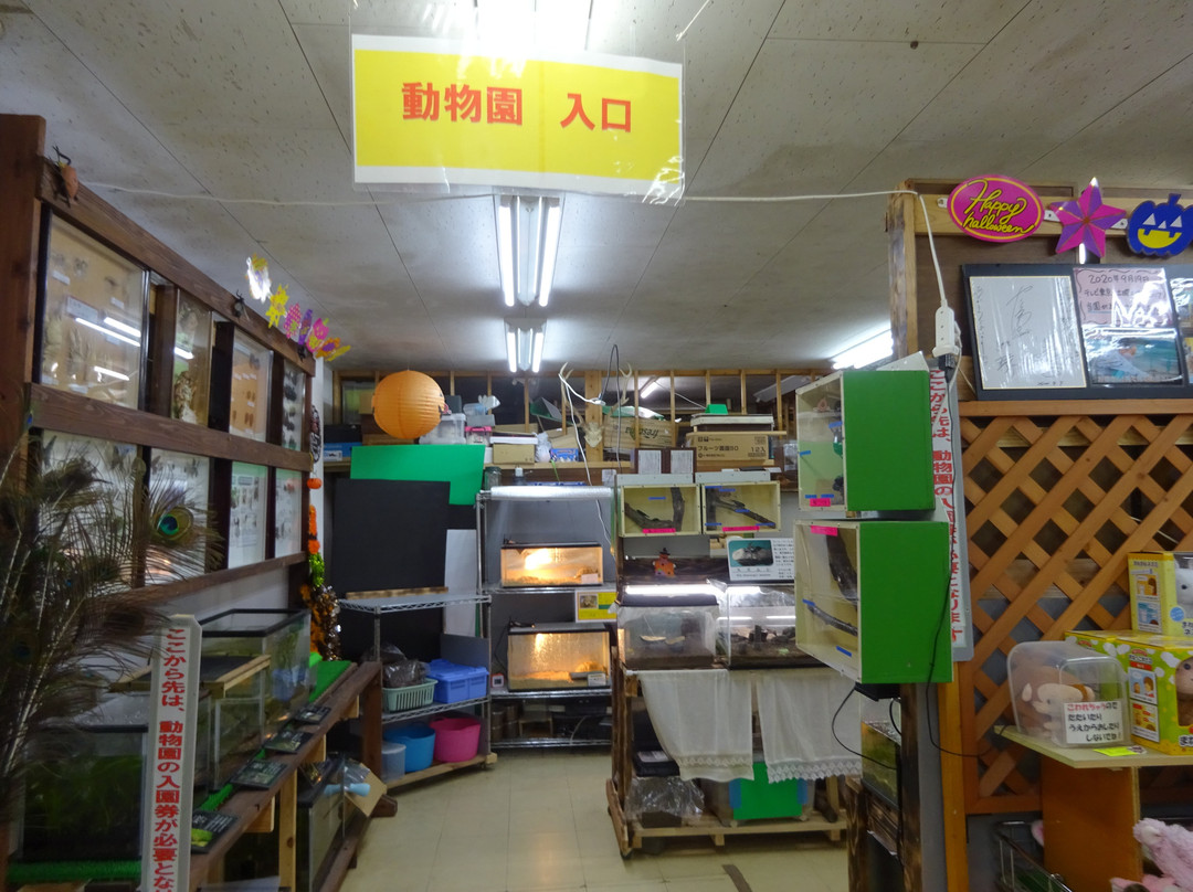 Hodosan Small Animal Park-长瀞町必去景点