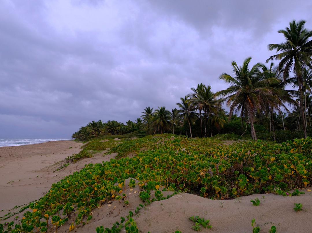 El Encuentro Surf Lodge主图