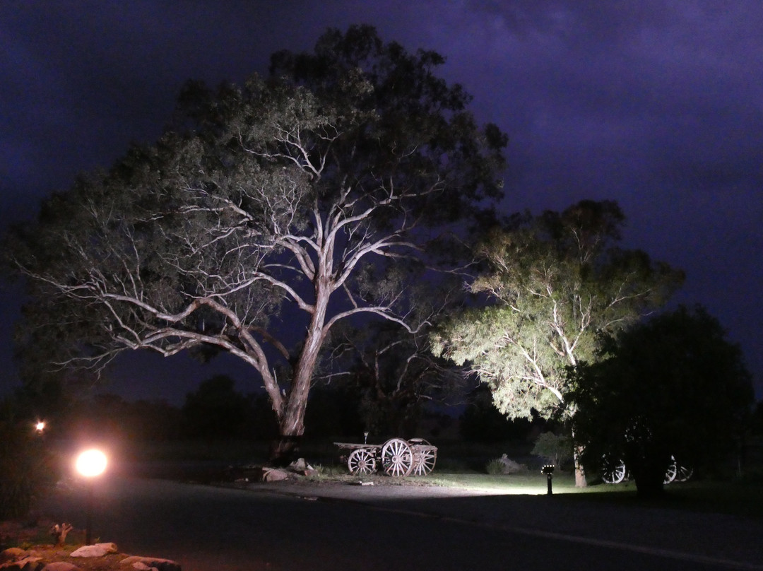 Gumly Gumly旅游攻略图片