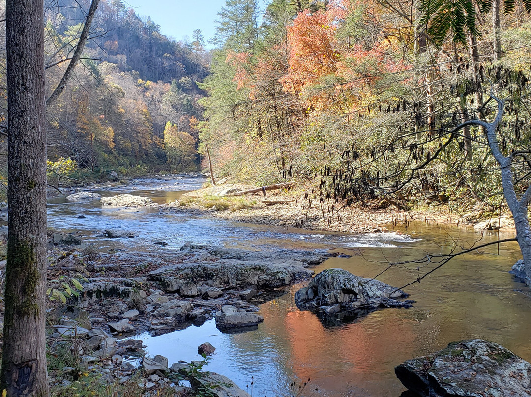 Laurel River Trail景点图片