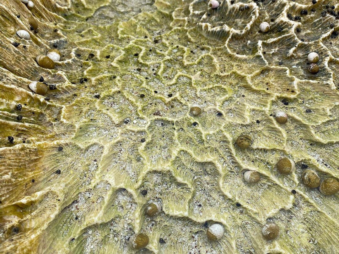 West White Beach-圣诞岛必去景点