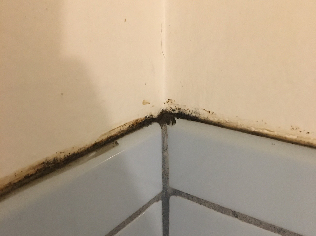 Howard Johnson by Wyndham Ridgecrest主图