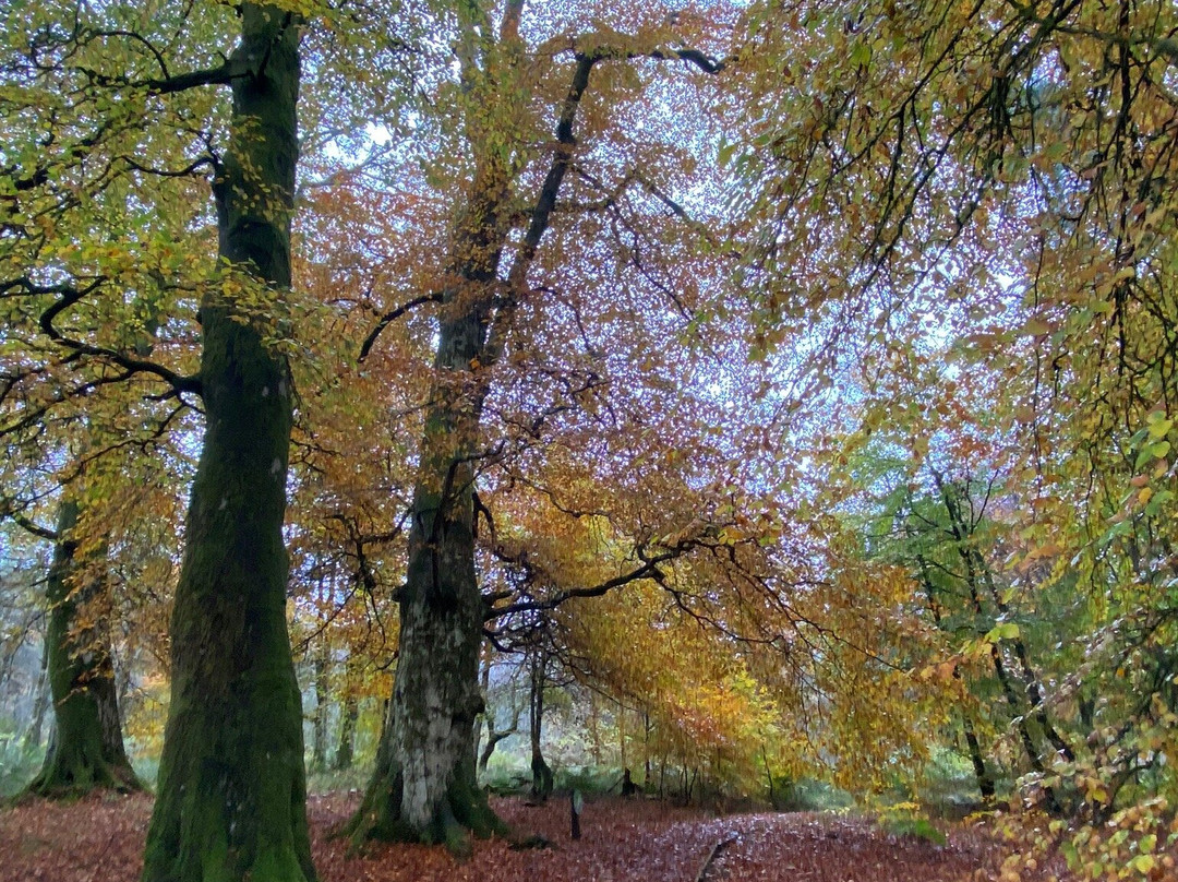 Kielder Castle Visitor Centre-Kielder必去景点