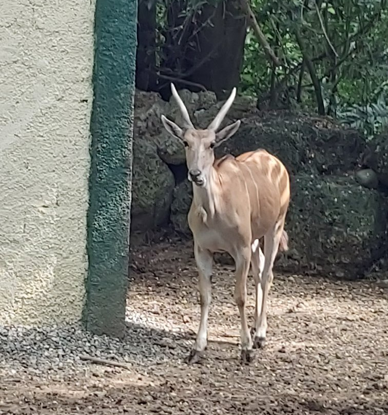 National Zoological Park-圣多明哥必去景点