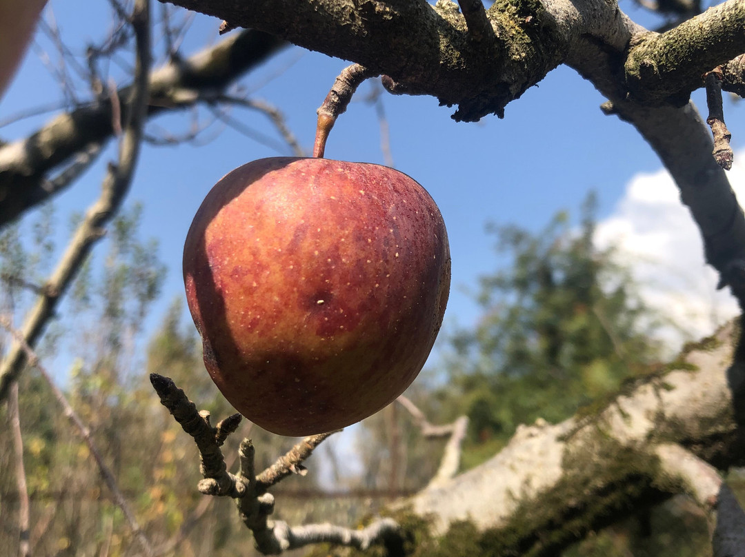 The Lama House主图