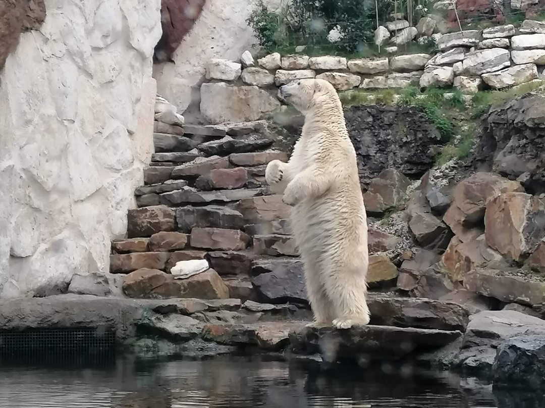 Pairi Daiza Resort主图