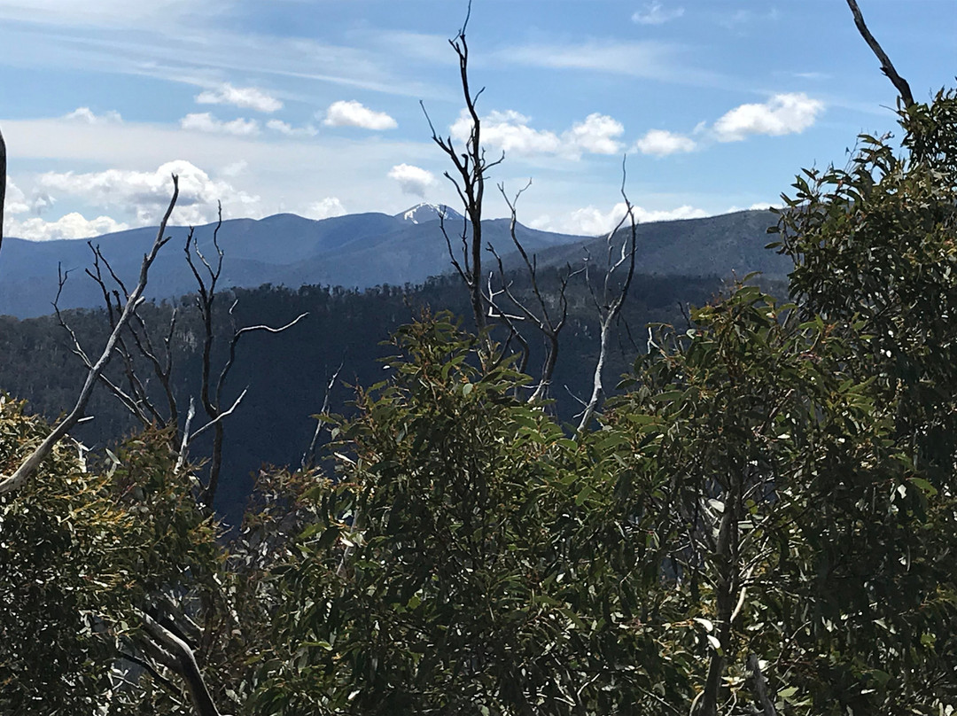 Dungey's Hollow-Hotham Heights必去景点