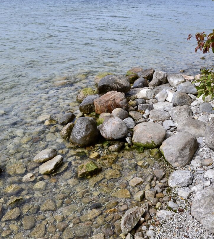 McRae Point Provincial Park景点图片