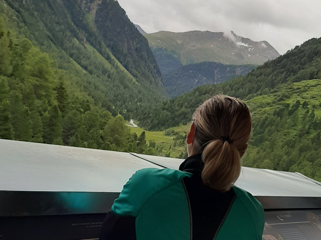 Pension Furhapter主图