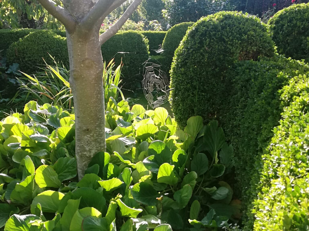 El Jardin del Convento主图