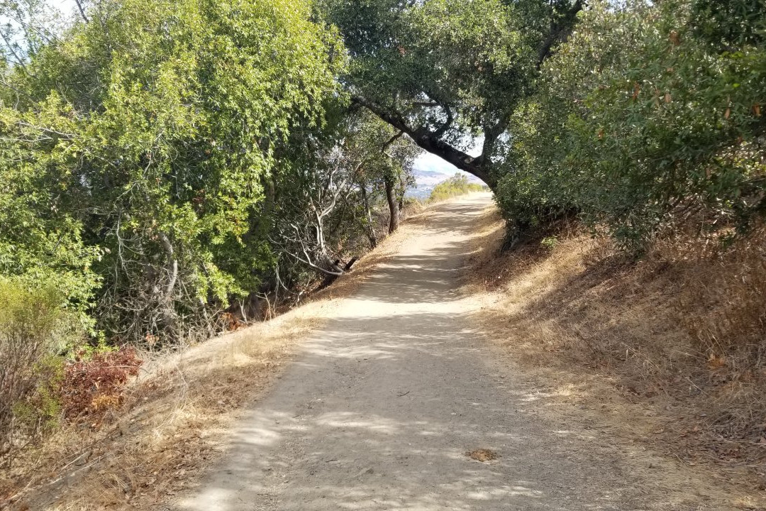 阿尔马登奎克西尔弗郡立公园-圣何塞必去景点