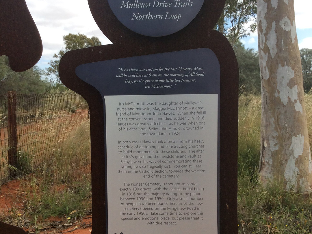 Pioneer Cemetery-Mullewa必去景点