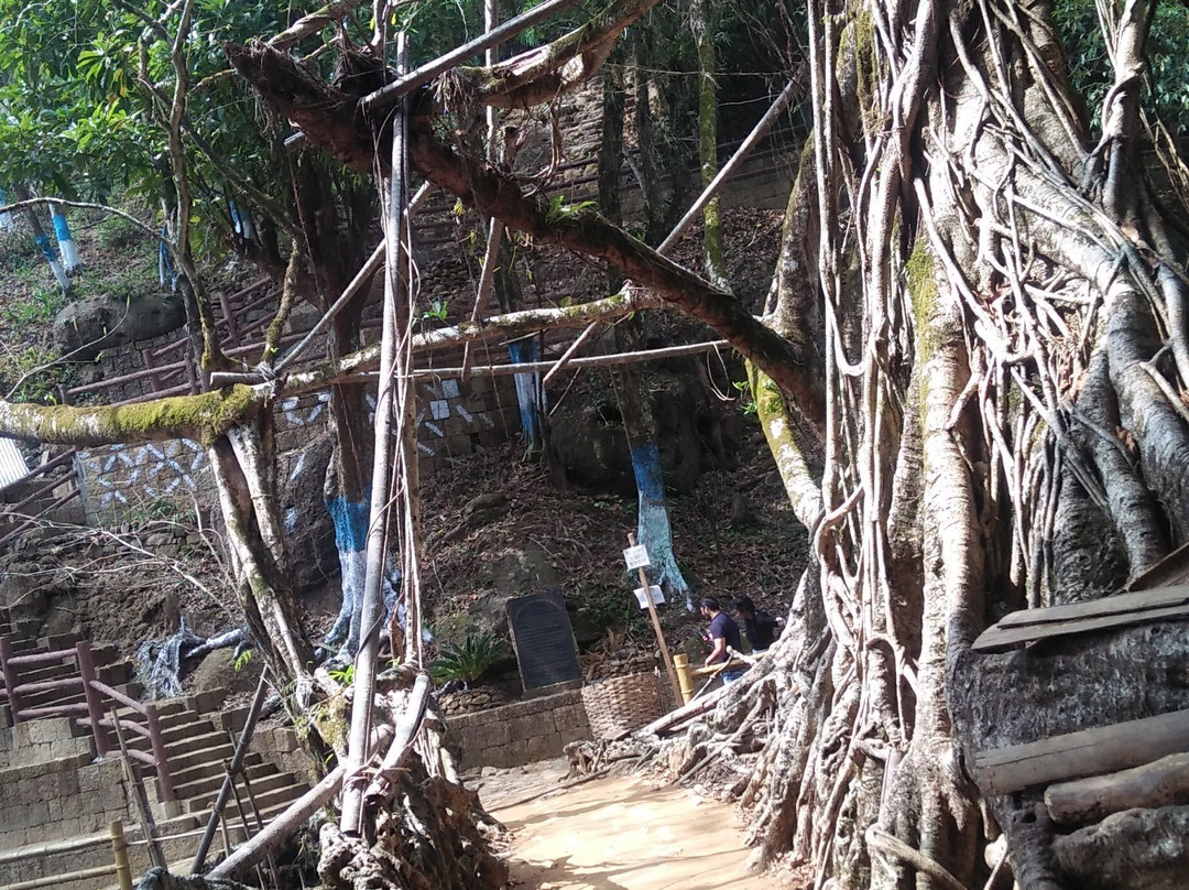 Jingmaham Living Root Bridge景点图片