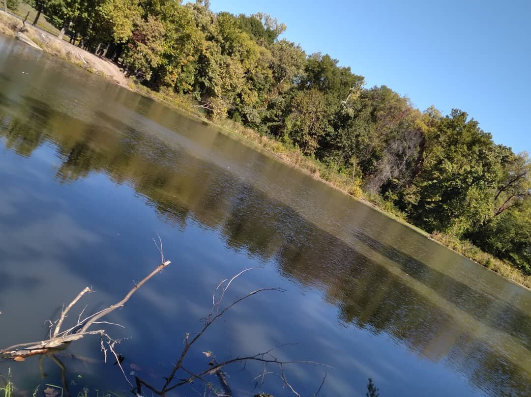 Penguin Park-堪萨斯城必去景点