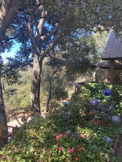 Wikiup Hummingbird Hotel主图