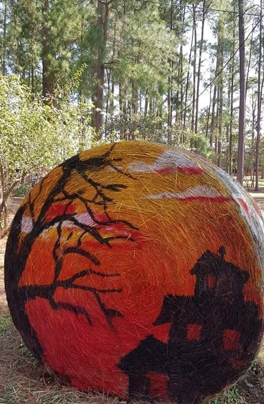 Fischer & Wieser's Das Peach Haus-弗雷德里克斯堡必去景点